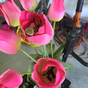 Meet your Posher, Gloria